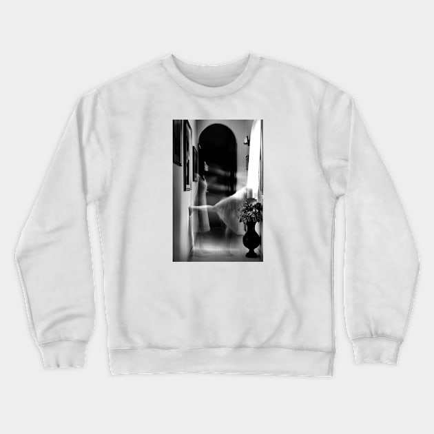 Window Crewneck Sweatshirt by lanzafame